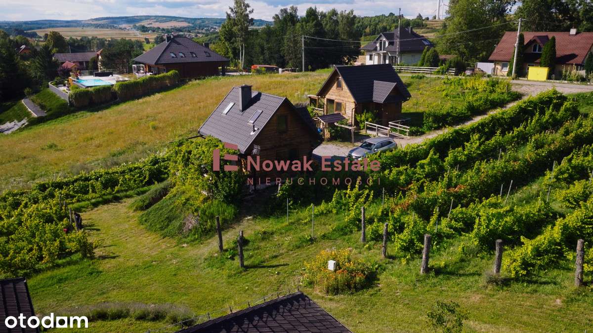 Winnica & Agroturystyka | gotowy biznes-10