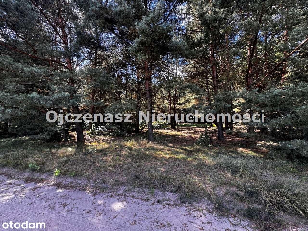 Klimatyczny dom wśród jezior i lasów | Kornelin-14