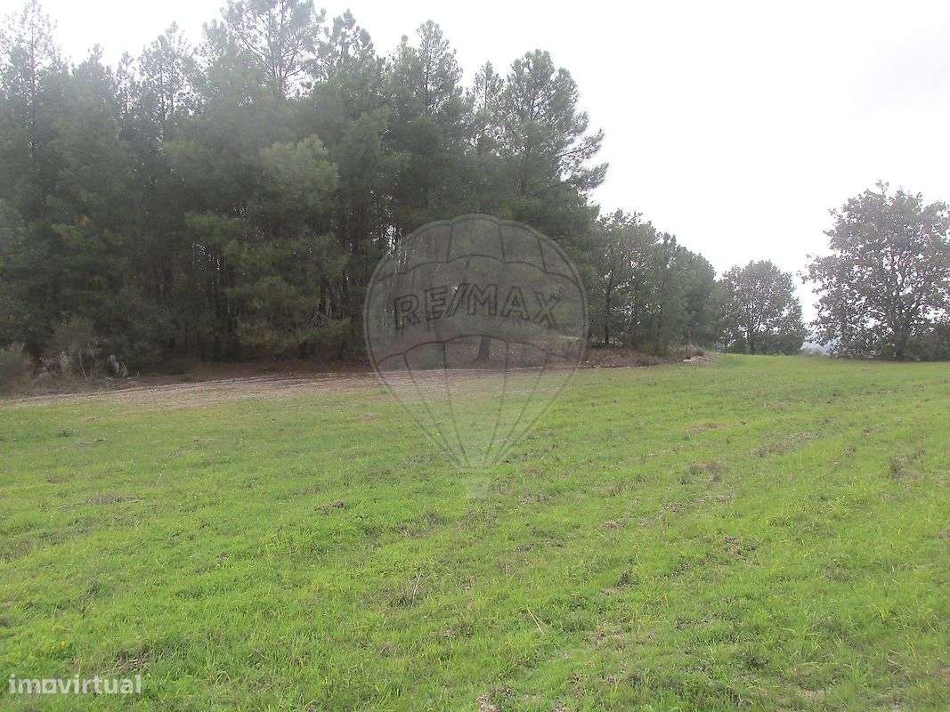 Quinta  para venda - Grande imagem: 5/12