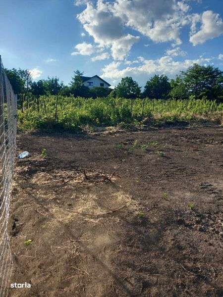 Teren Filesti Intravilan 2 parcele - Imagine principală: 4/5