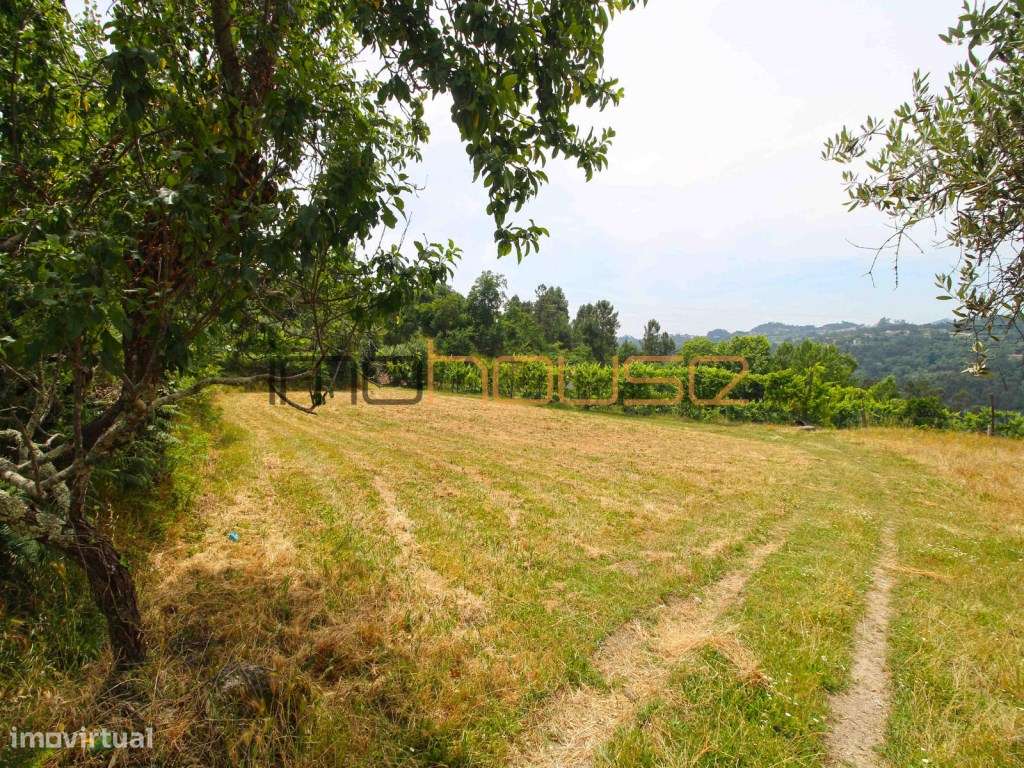 Quinta do séc. 18 - Amarante-35