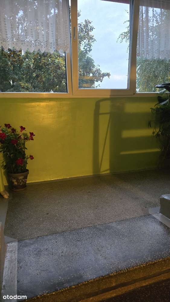 2 pokoje, 2 piętro w czteropiętrowcu-14