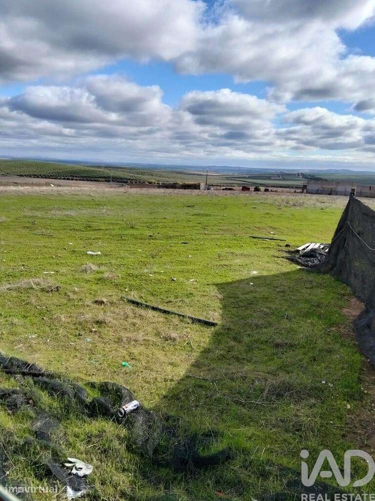 Terreno Agrícola em Baleizão - Grande imagem: 3/5