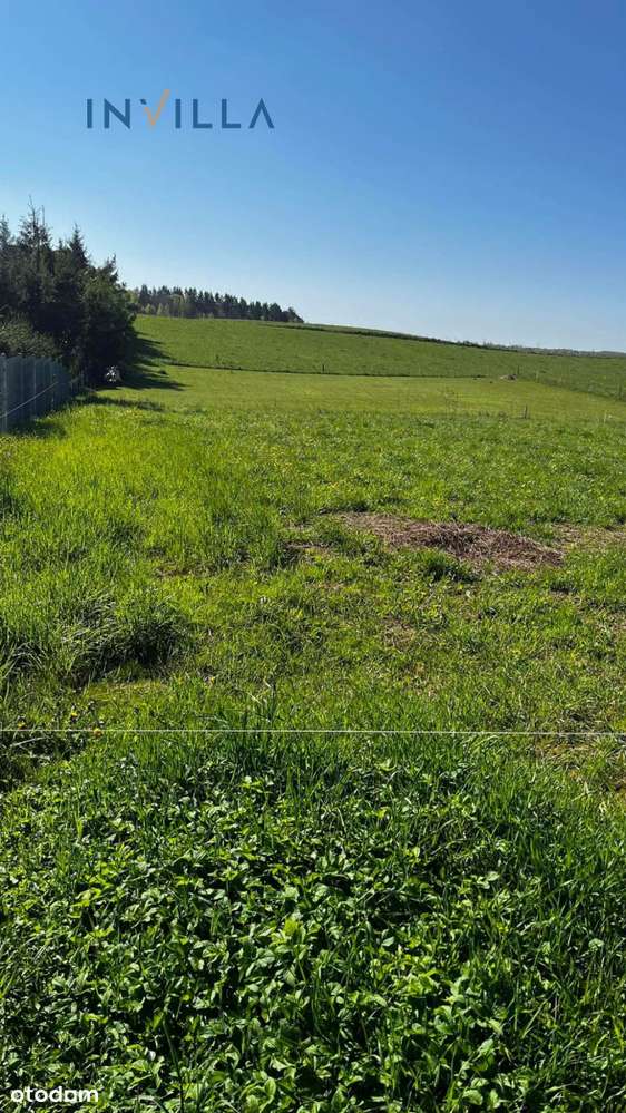 Działka Nad Jeziorem Bogaczewo K. Morąga 1 514 M2 - Pełny obrazek: 5/5