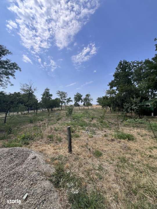 Casa de vacanta - Munteni Buzau - Jutetul Ialomita - Curte 2000mp-12