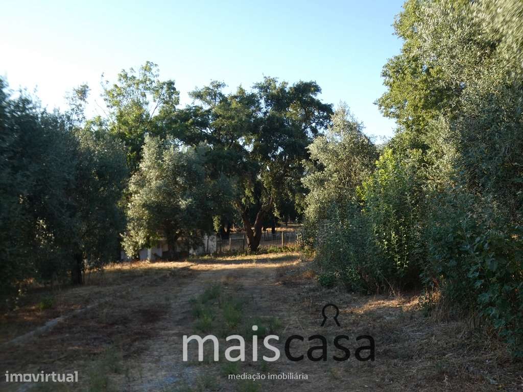 Herdade com Habitações, Piscina, Turismo, Canil e Campo de Jogos !-36