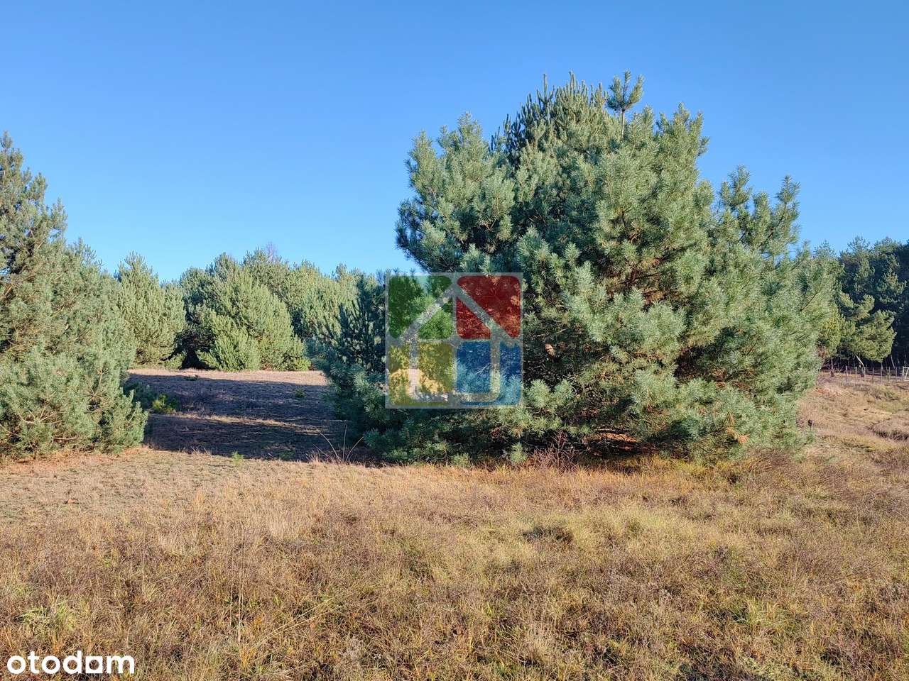 Duża działka z widokiem na jezioro-10