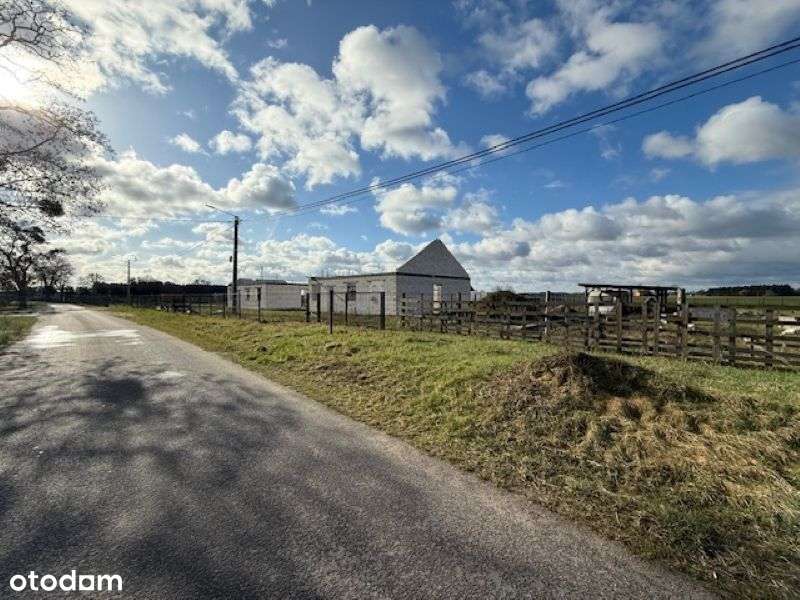 Dom przy ścianie lasu, Podlesie Wysokie-3