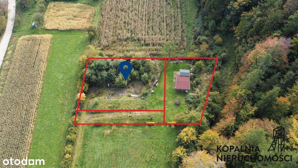 Działka przy lesie, Widokowa - Pełny obrazek: 4/9