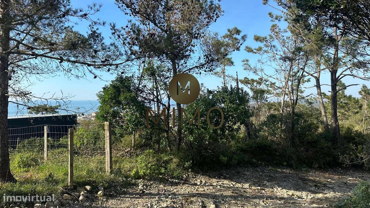 Terreno Para Venda na Murtinheira-32