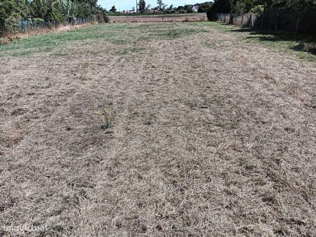 Terreno para moradia isolada - Ílhavo - Grande imagem: 5/21