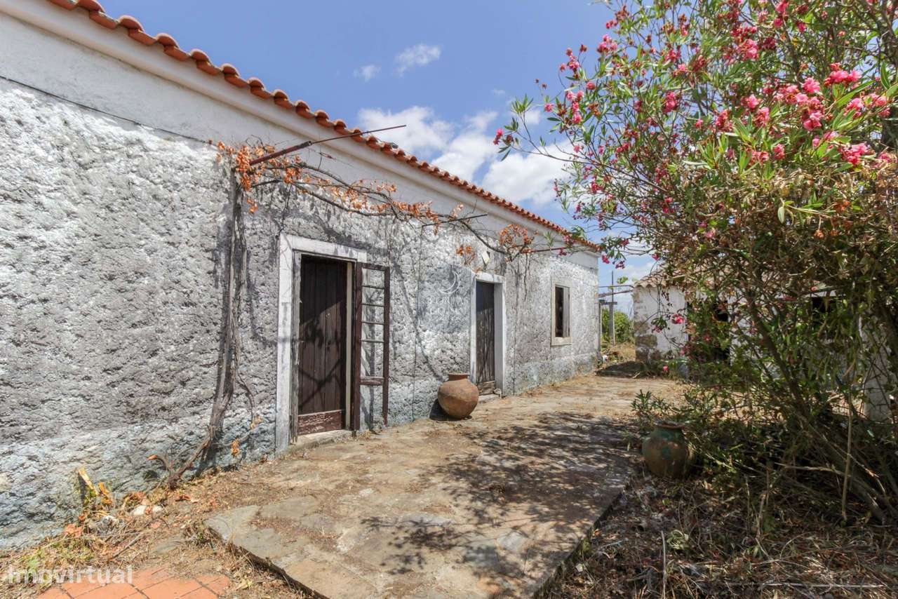 Quintinha de 2.995 m2 c/ moradia V2 e poço.-5