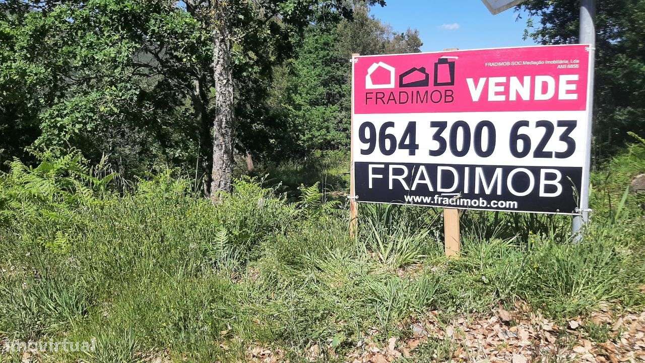 Terreno-Quintinha – Oliveira de Frades - Grande imagem: 4/15