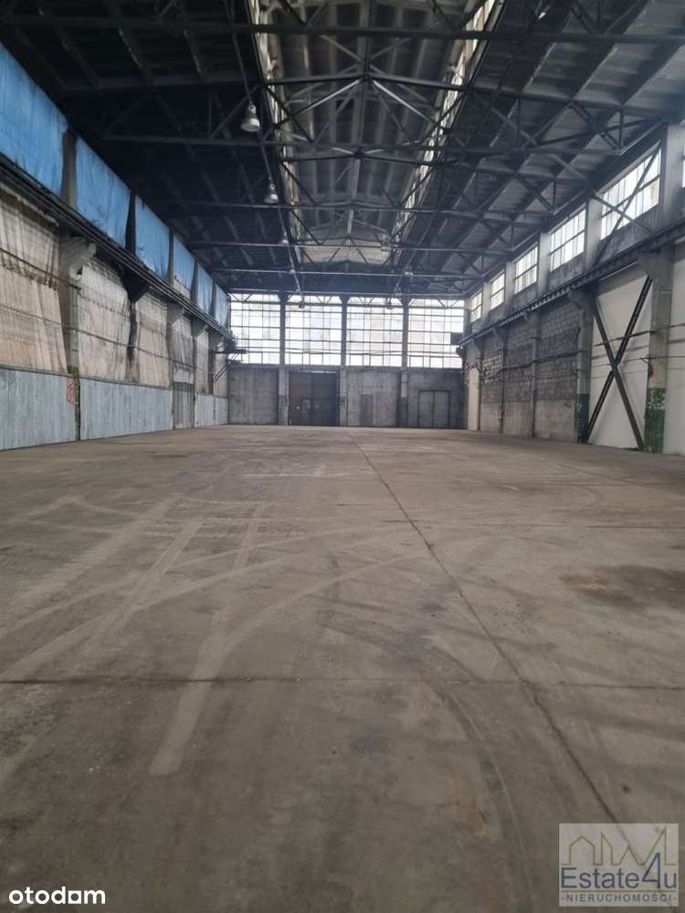 Hala magazynowo-produkcyjna 900m na Rozdzieńskiego - Pełny obrazek: 2/6