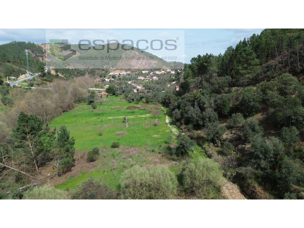 Terrenos a confinar com ribeira - Pomar - Grande imagem: 5/15