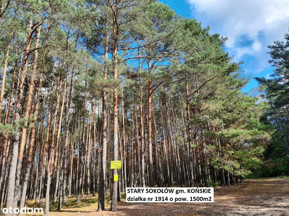 Sale -10% Najtańsza działka leśno-rolna 1500m2 tylko 9.900 zł-12