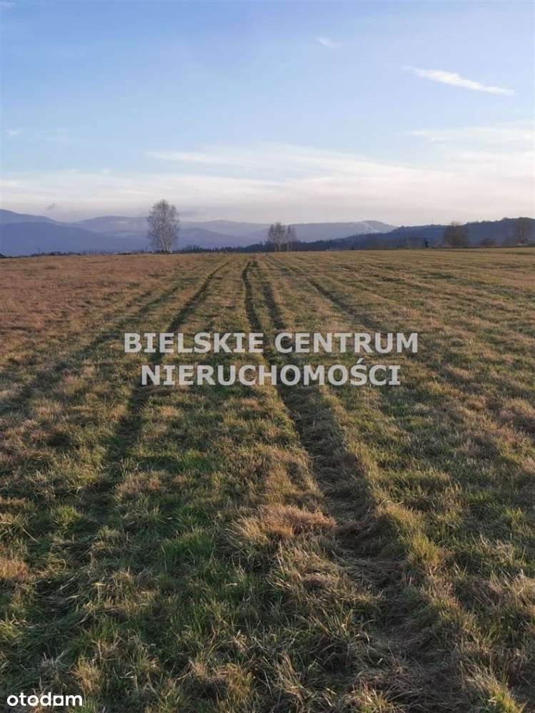 Działka, 10 300 m², Lipowa-6