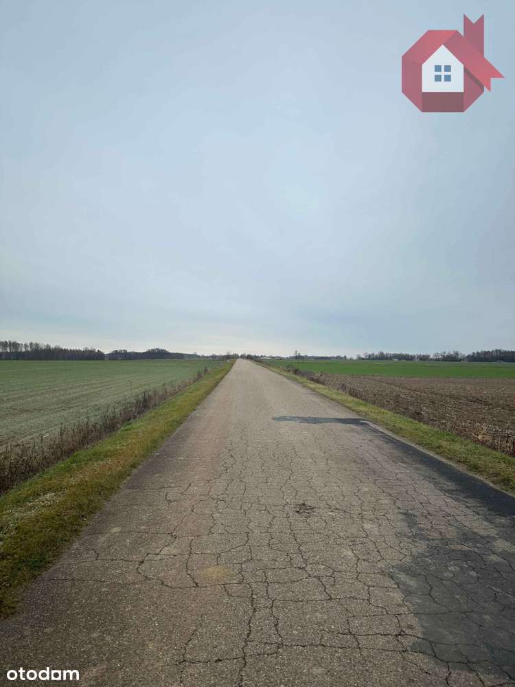 Zadrzewiona działka 2100 m² - 10 minut od Zegrza-3