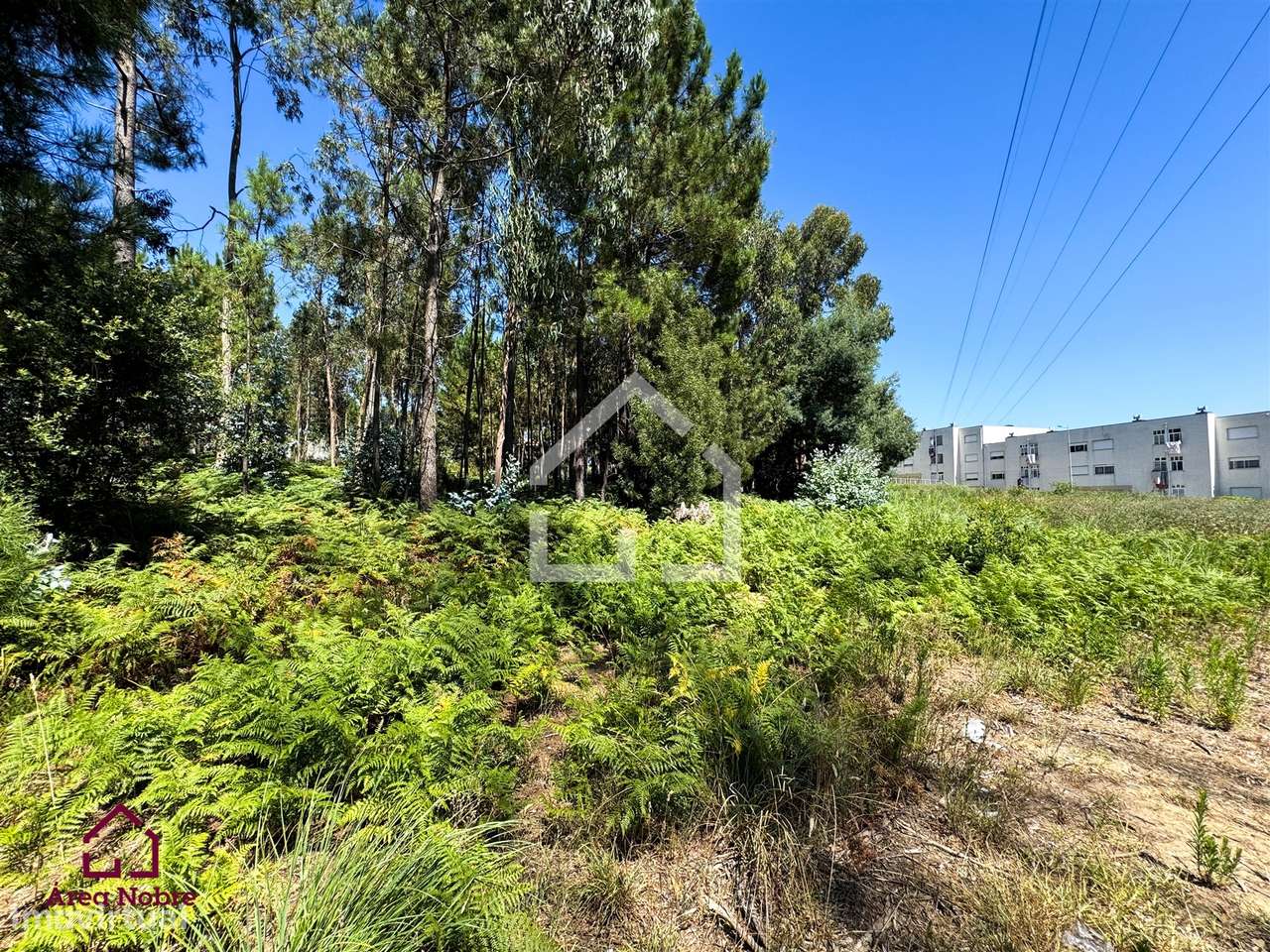 Terreno - Grande imagem: 2/5