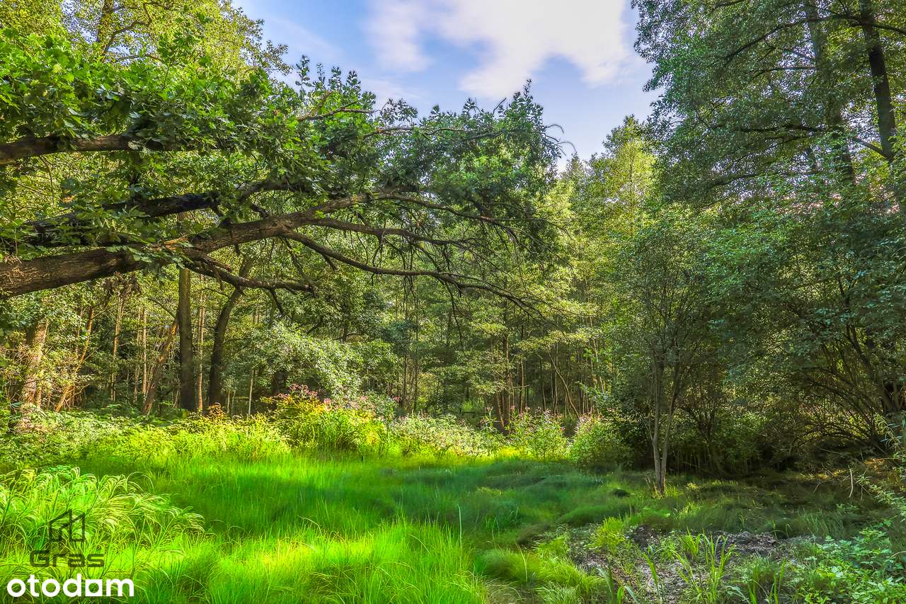 M4 63 m2 2 piętro, Kaskada Kompleks VIII, Na Okrzeszyńcu-11