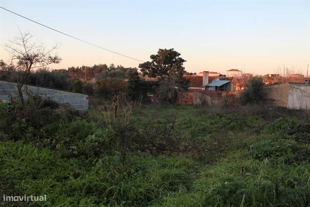 Terreno com ruina, Condeixa-a-Nova, Condeixa - Grande imagem: 4/12