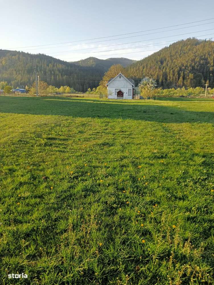 Vindem proprietate in orasul Frasin, Bucsoaia - Bucovina-12