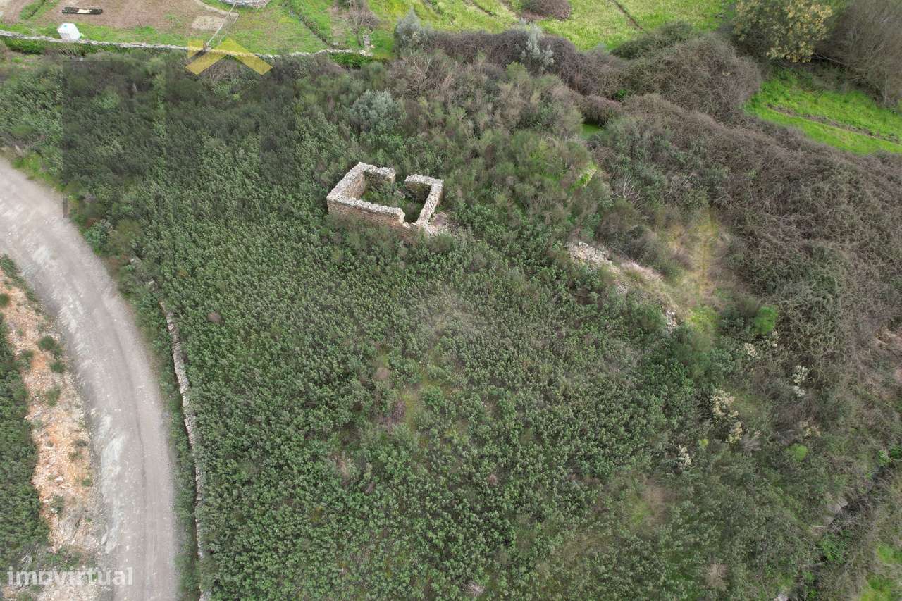 Quinta  Venda em Freixial e Juncal do Campo,Castelo Branco - Grande imagem: 4/8