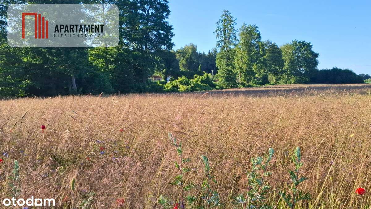 Działka pod budowę domu niedaleko jeziora - Pełny obrazek: 3/3