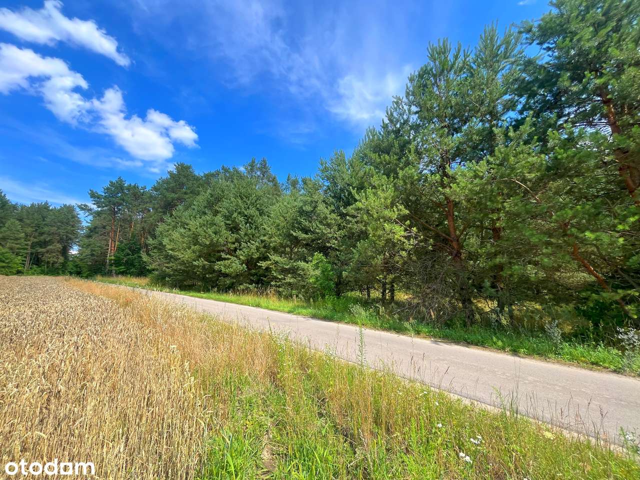 Piękna działka budowlana w środku lasu, 4km od Wisły - Pełny obrazek: 4/9