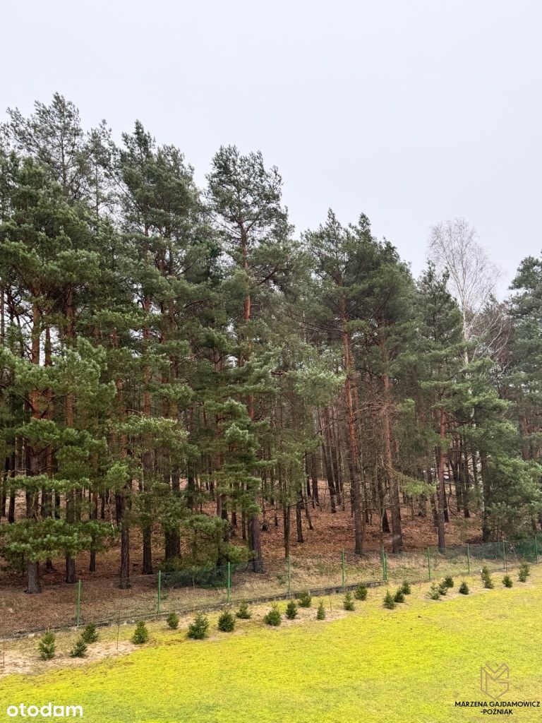 Ostatnia Działka przy lesie Zielona Góra-Drzonków