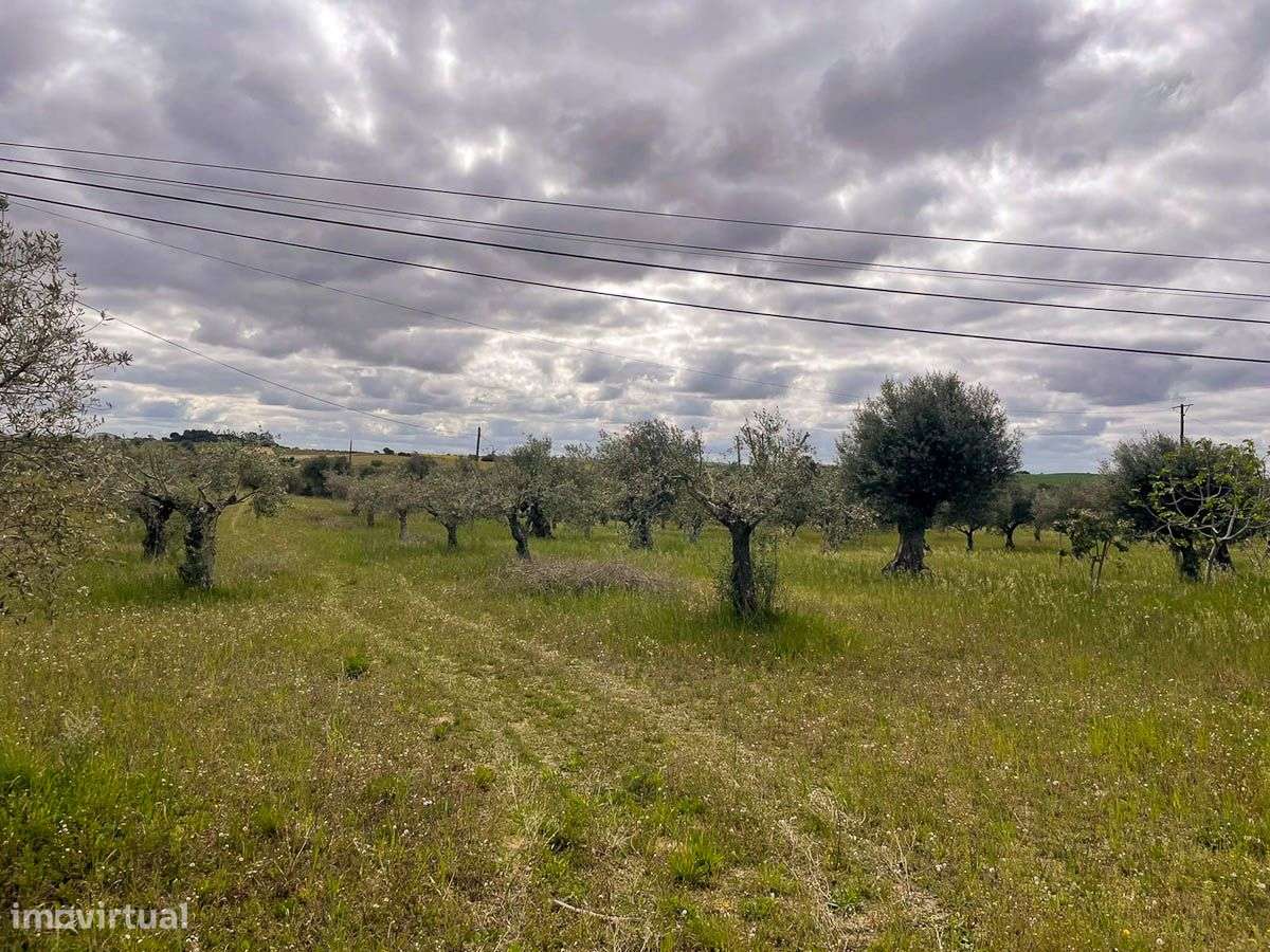 Terreno - Grande imagem: 4/5