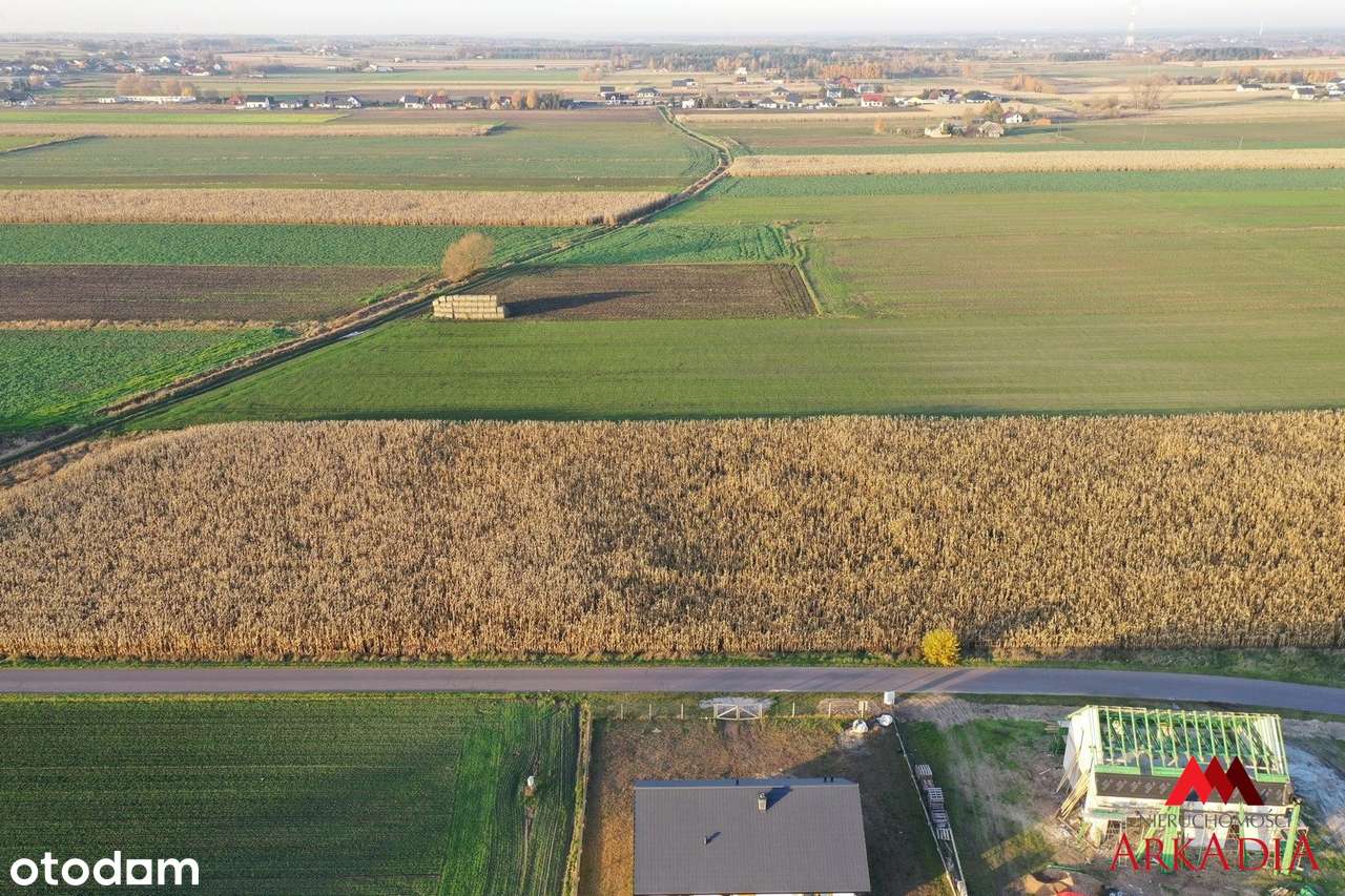 Działka na sprzedaż, Lubanie - Pełny obrazek: 4/7