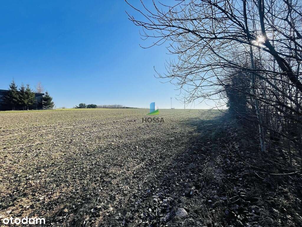 Działka w Kozłowie - Pełny obrazek: 4/10