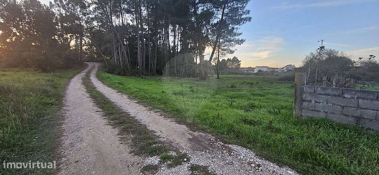 Terreno  para venda - Grande imagem: 5/15