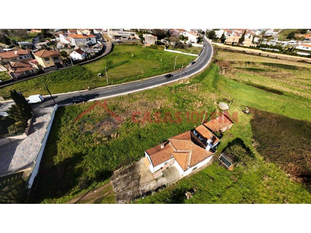 Terreno Santiago Riba-UL, Oliveira de Azeméis - Grande imagem: 2/5