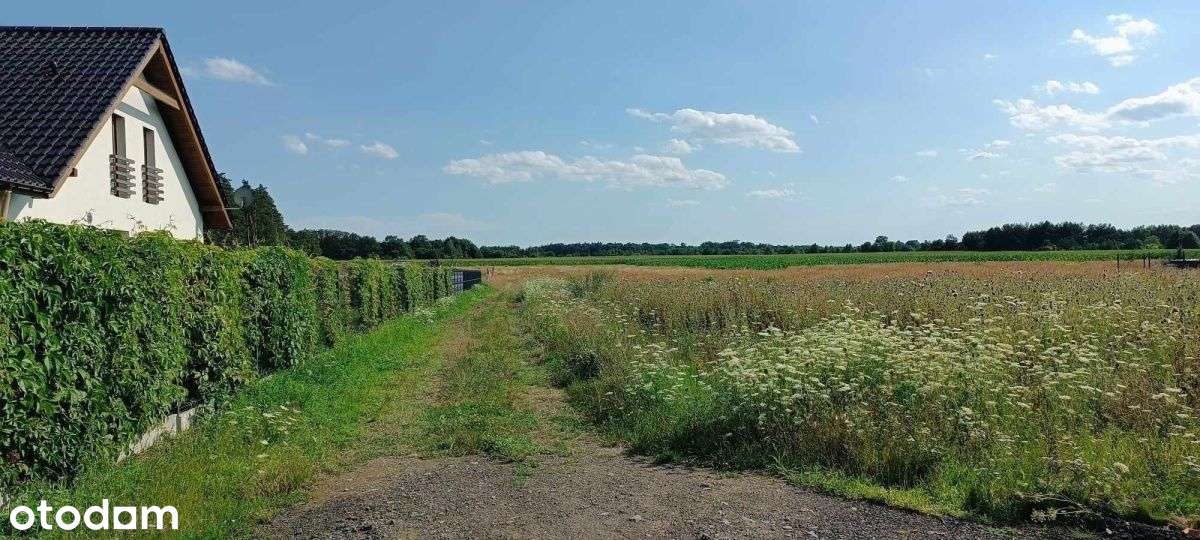 działki budowlane-Godzięcin/ok. Brzegu Dolnego - Pełny obrazek: 2/4