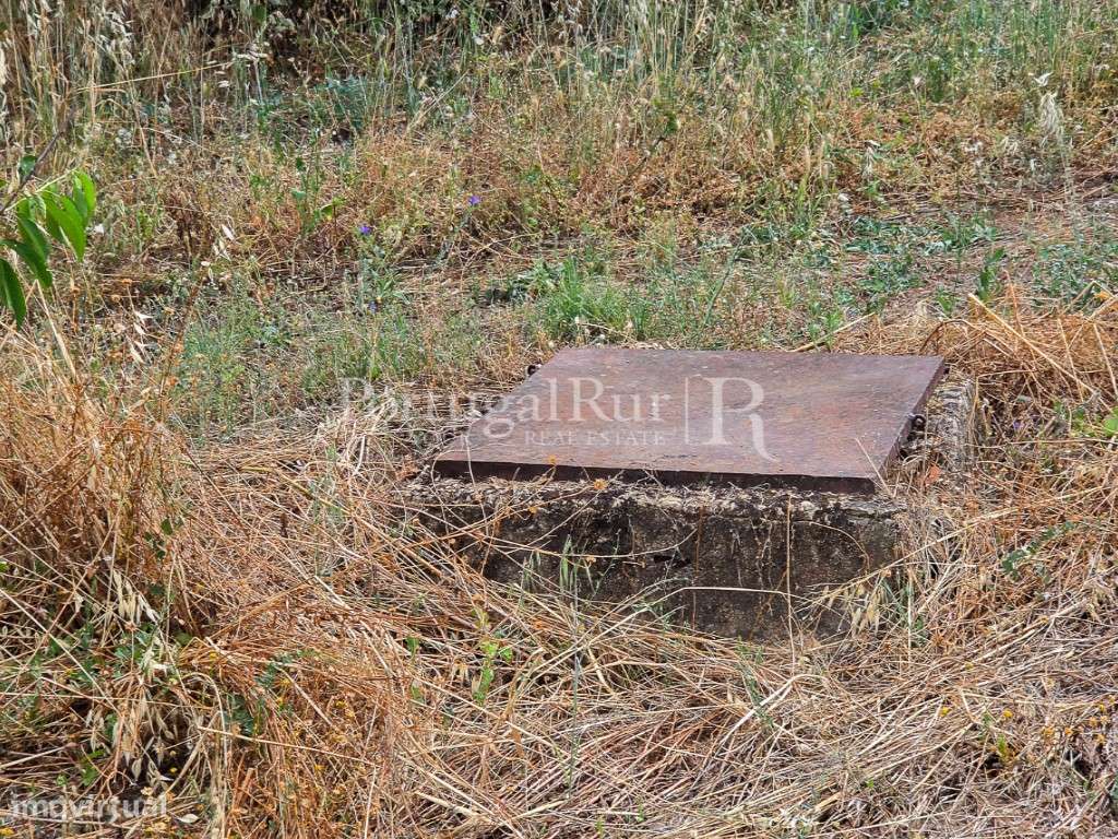 Quintinha de 1.8 hectares em Medelim-24