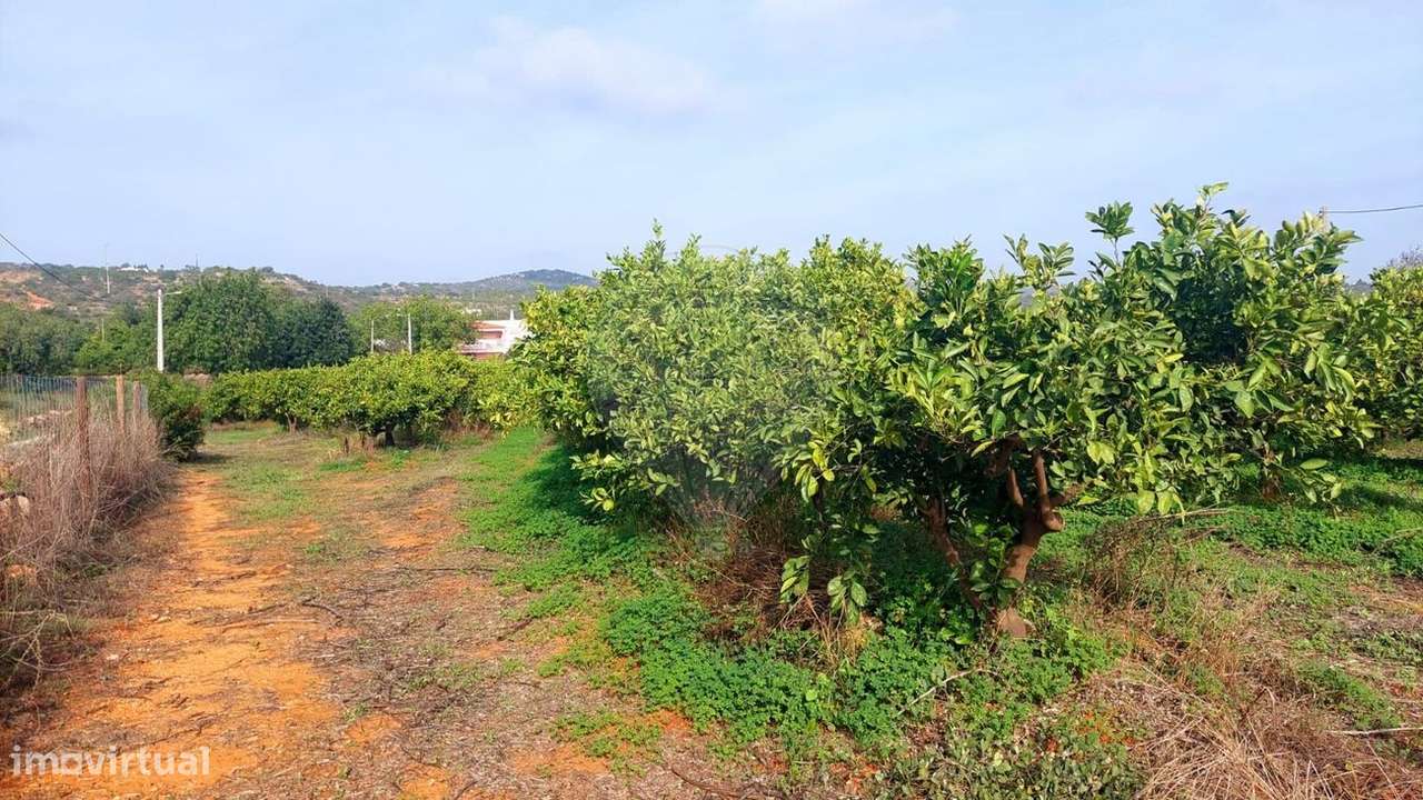 Terreno  para venda - Grande imagem: 3/7