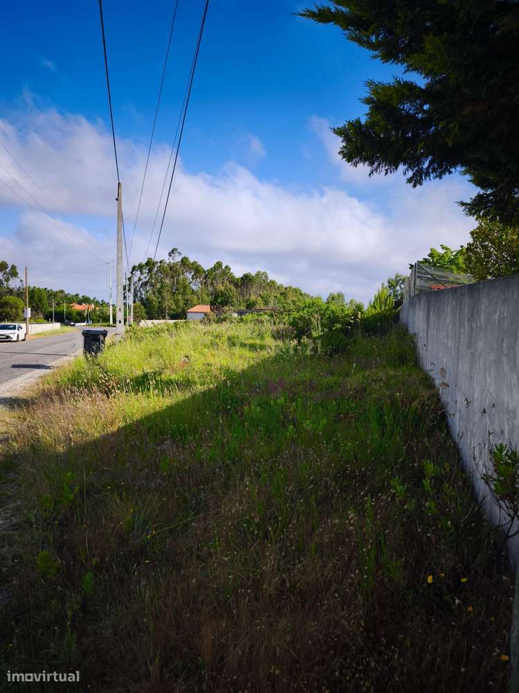 Terreno Rústico de 33.550 m2 em Caldas da Rainha com Vista Campestre - Grande imagem: 4/13