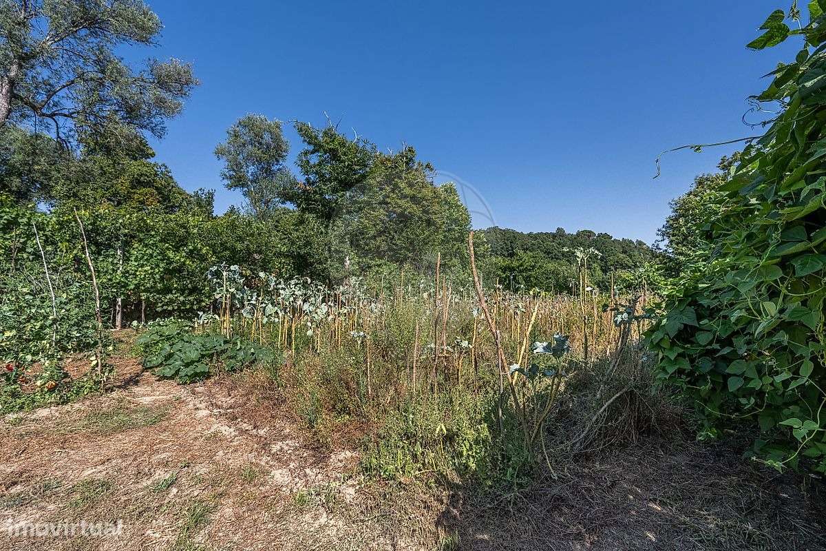 Moradia T4 com Terreno e Árvores de Fruto em Moure, Vila Verde-38