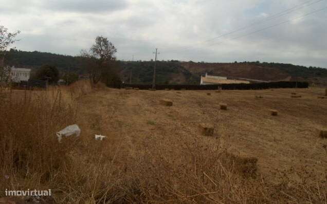 Terreno com 15 lotes aprovados - Grande imagem: 2/7