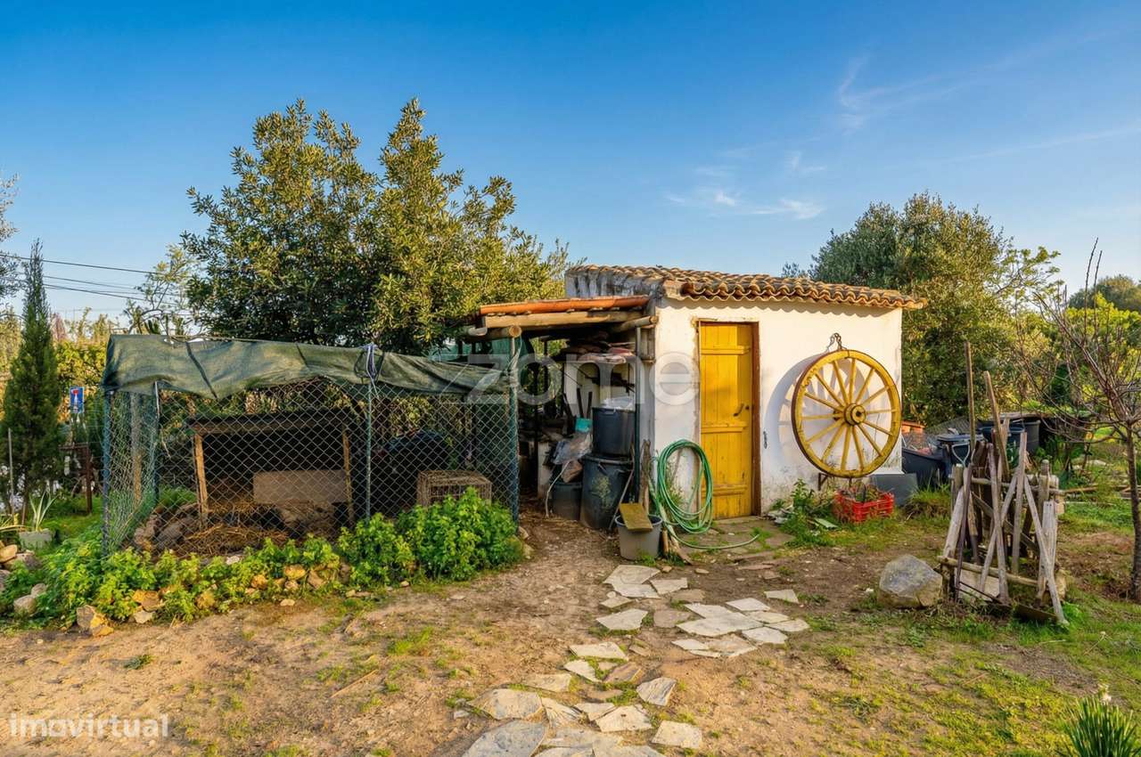 Moradia Térrea em Lote de 979 m² na Mexilhoeira Grande - Grande imagem: 4/17