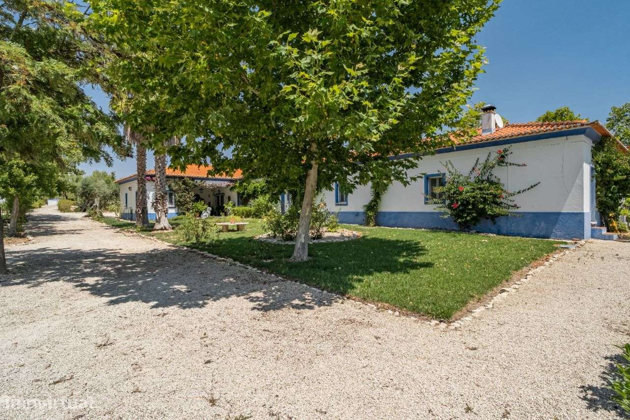 Quinta | Venda | ALENTEJO-43