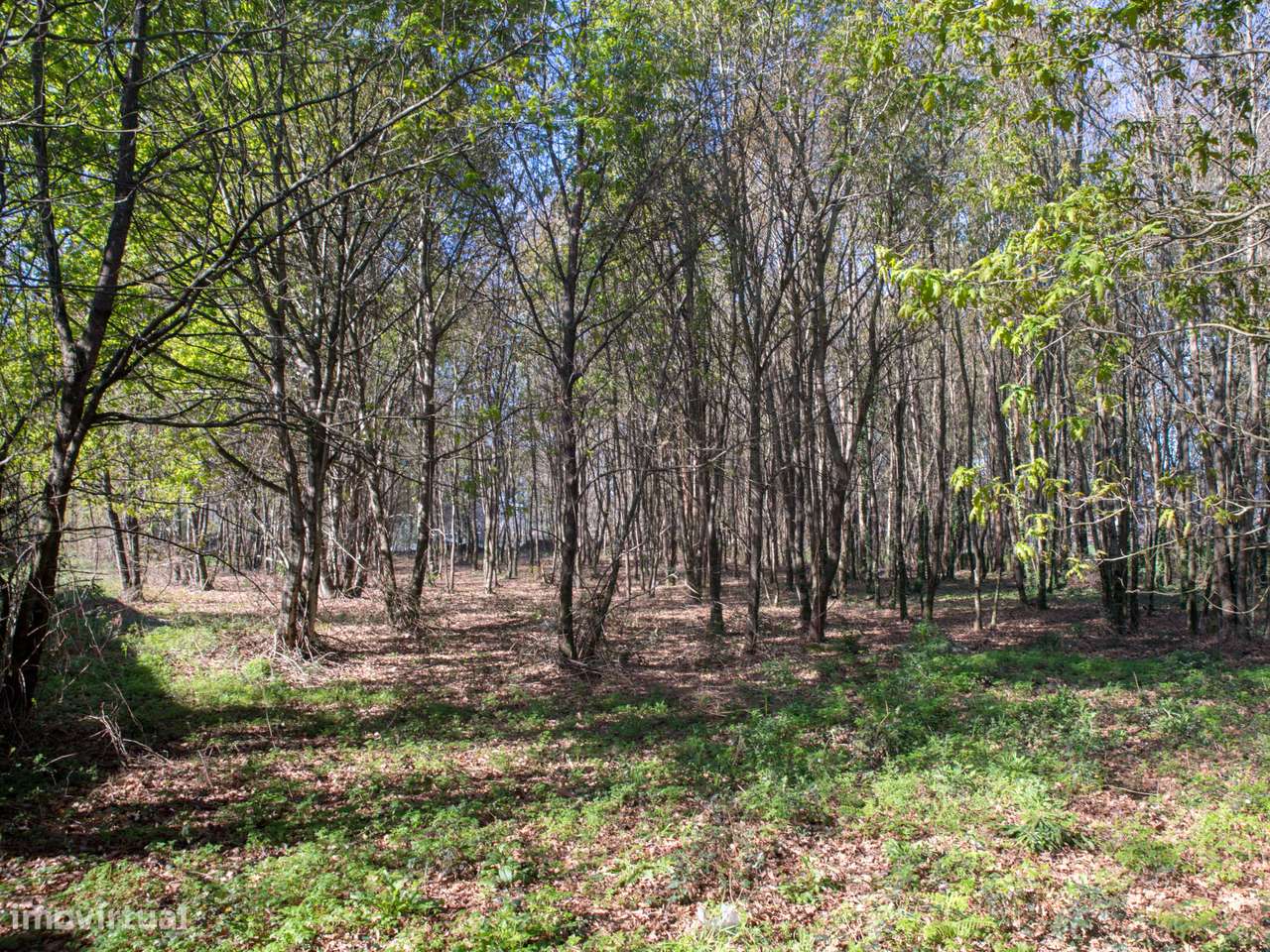 Terreno para promoção imobiliária – 5.587 m² | Merelim S. Paio-8