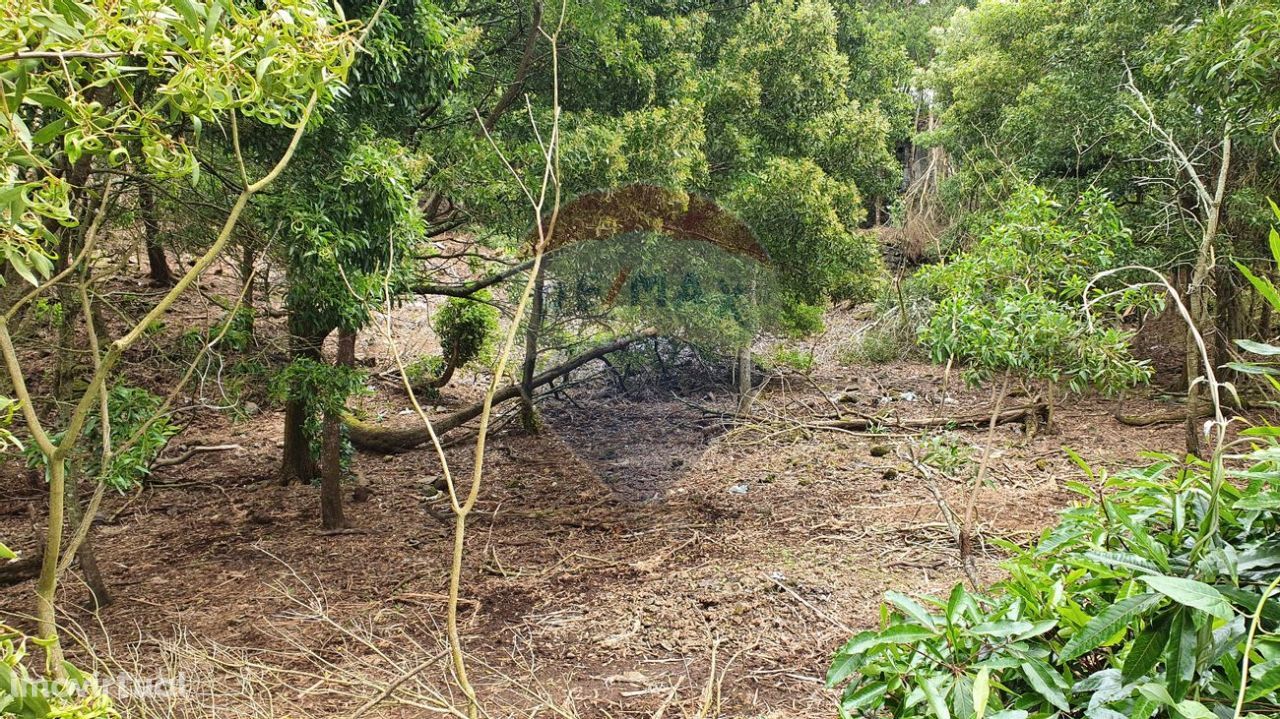 Terreno  para venda