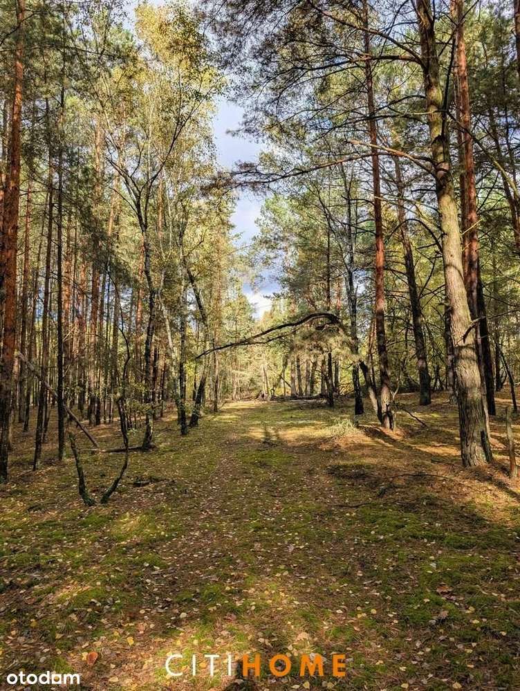 Malownicza działka siedliskowa 1,95 ha – Czarnowie-4