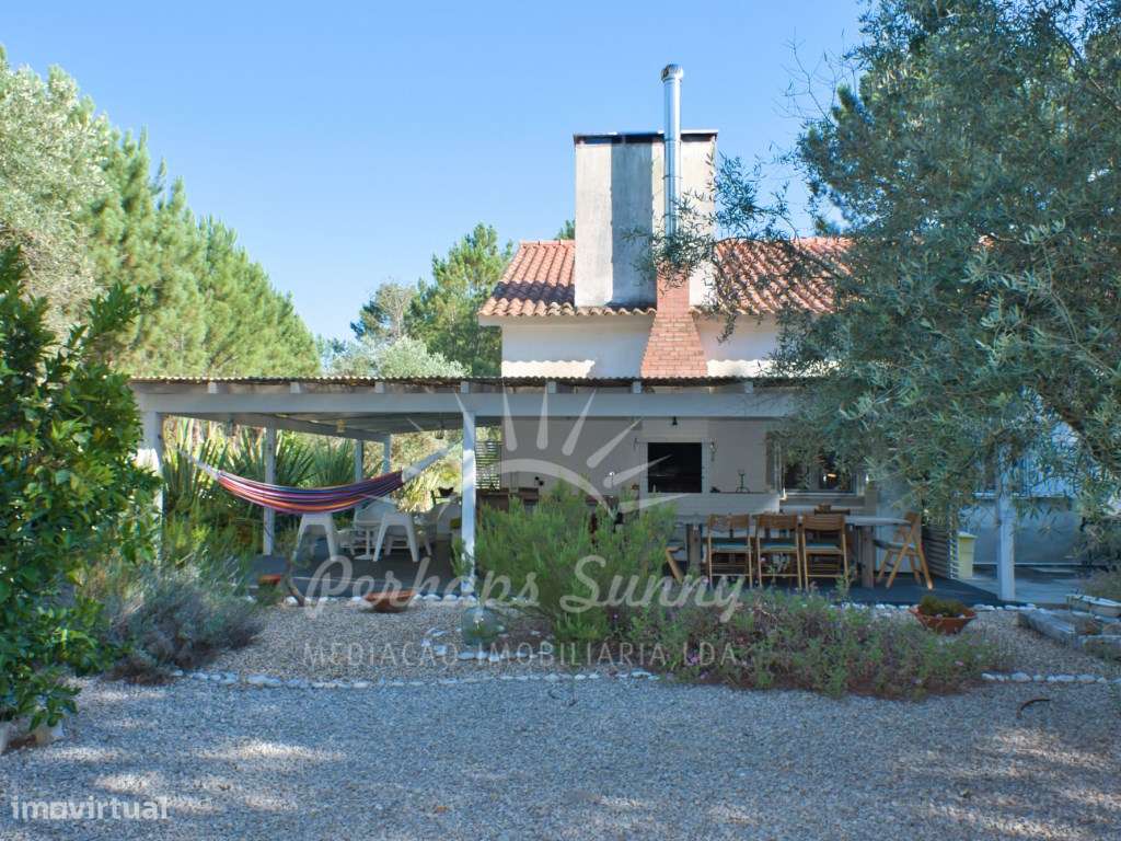 Quinta - Muda - Grande imagem: 4/60