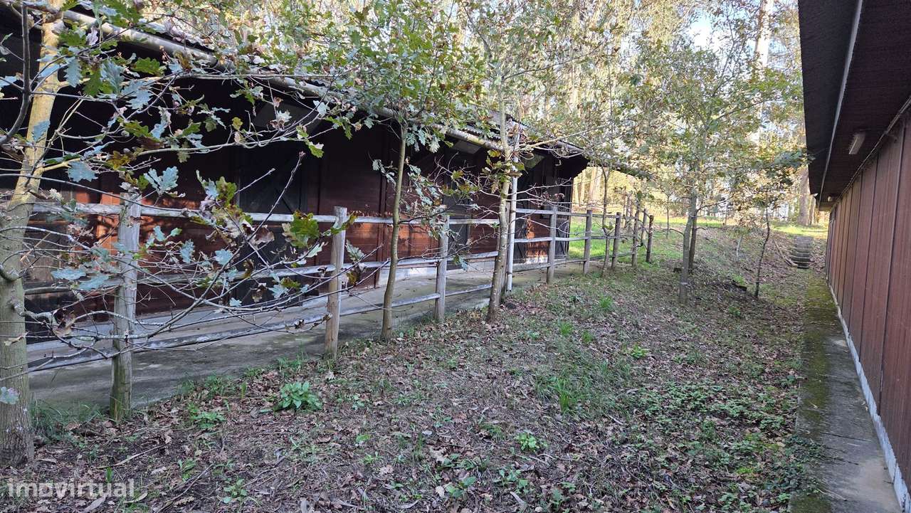 Quinta Equestre & Boutique Retreat-44