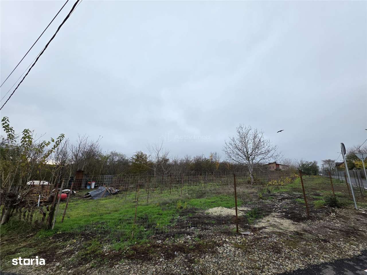 Teren Branesti - Str Oltului - 1600 mp - deschidere 16 ml - comision 0 - Imagine principală: 4/6