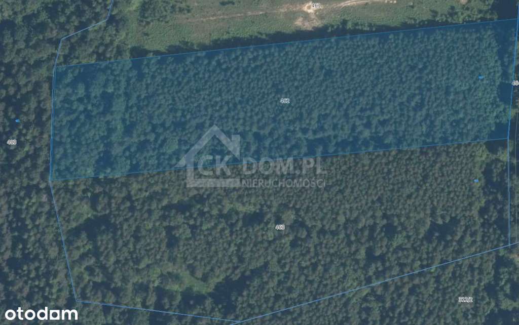 Działka inwestycyjna Cisów 22 500 m² - Pełny obrazek: 5/5